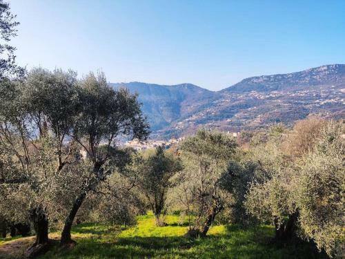 Bas de Villa. C�te D'azur, � 20 Kms de Nice