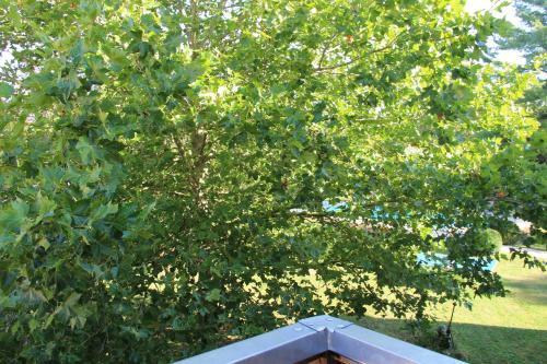 Apartamento La Dominotte - Le G�te