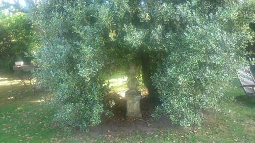 Hostal Le Jardin Des �cureuils