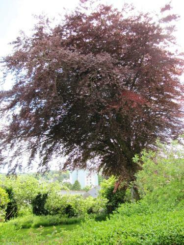 Bed & Breakfast Tregarth House