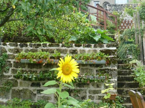 Bed & Breakfast Les Chambres de La Ville Haute