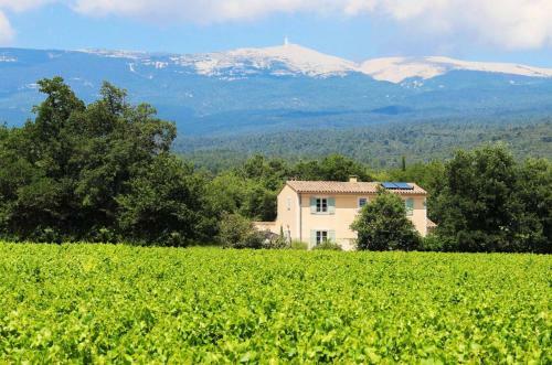 Villa La Bastide de L'olivier