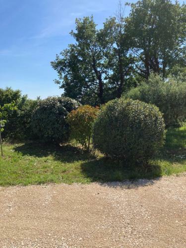 Villa La Bastide de L'olivier
