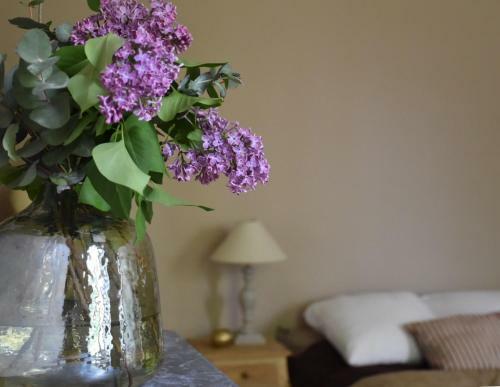 Bed & Breakfast Domaine de Baleyssac