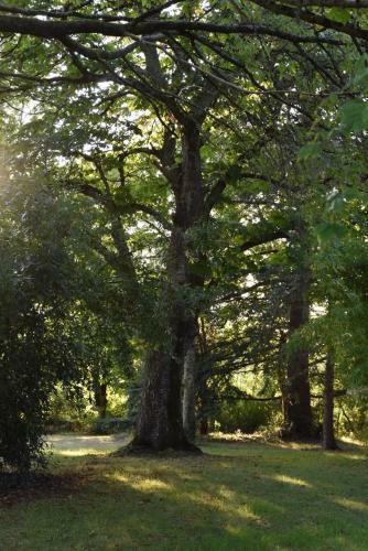 Bed & Breakfast Domaine de Baleyssac
