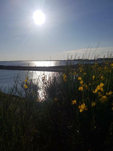 Apartamento La Rose Des Sables