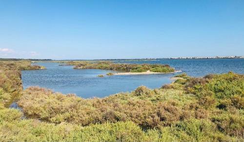 Apartamentos Le Nautica Plage T2 En Bord de Mer