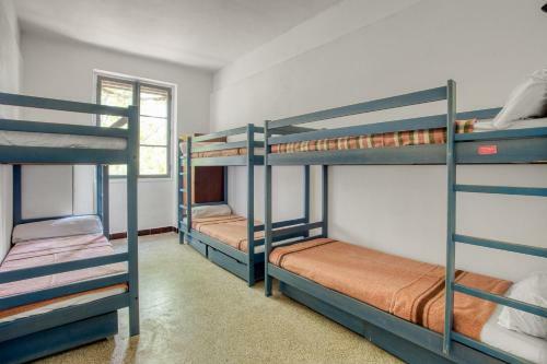 Albergue Auberge de Fr�jus Saint-raphael