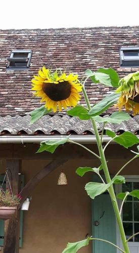 Perigourdine Typique Avec Piscine Et Jardin Clos