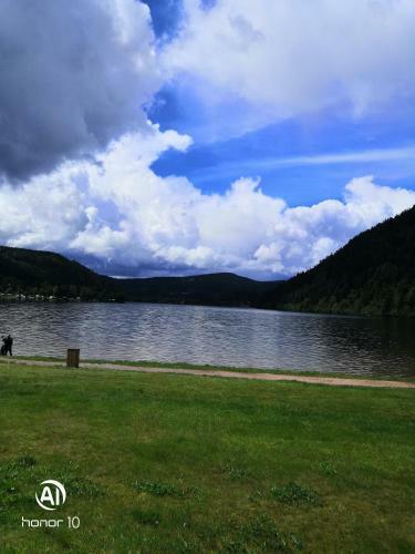 Apartamento Studio R�sidence La Mauselaine La Perle Des Vosges