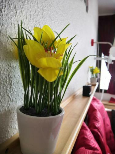 Apartamento Studio R�sidence La Mauselaine La Perle Des Vosges
