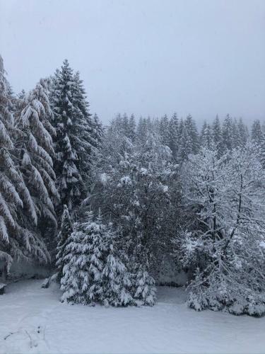 Hotel Le Chalet Du Narouel