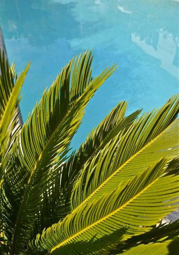 Bastide A�na Spa Et Piscine