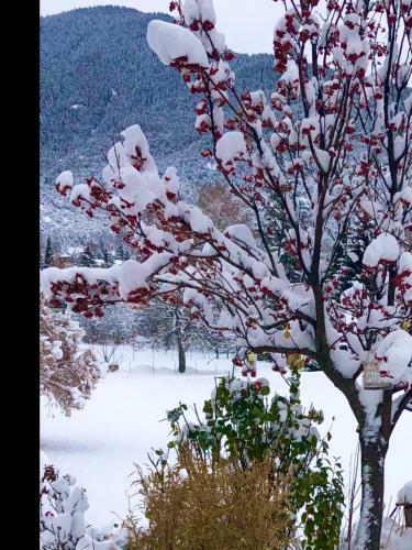Bed & Breakfast Une Envie de Montagne