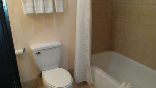 Motel Robinson Inn And Suites