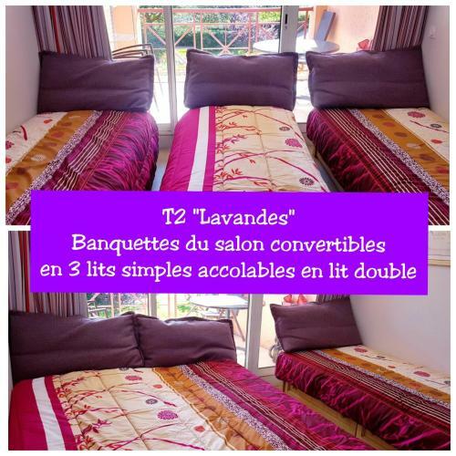 Apartamento Ecrins de La Badine- Pin�de