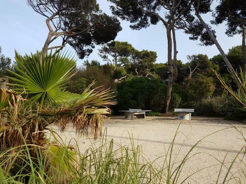 Apartamento Ecrins de La Badine- Pin�de