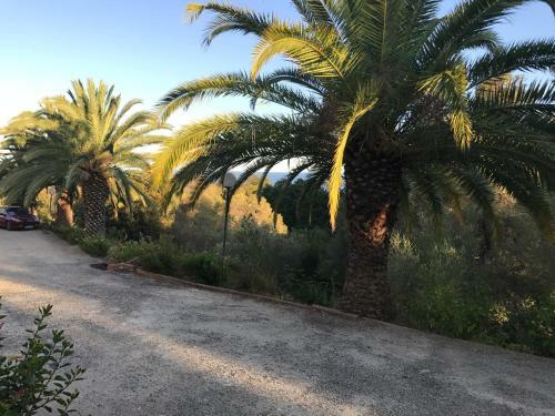 Apartamentos Appartement Solenzara