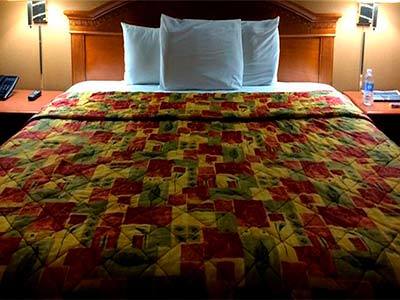 Motel La Posada Inn Alamo