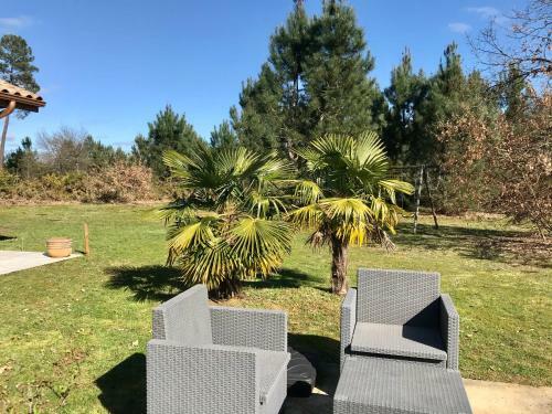 Maison Avec Piscine Au C?ur de La For�t