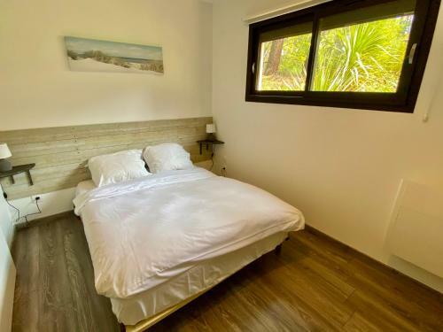 New Apartment With Terraces, Calm Location