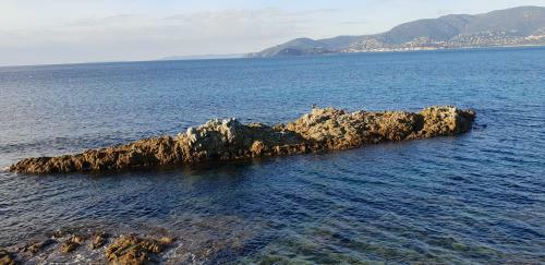 Apartamento Pampelonne Appartment