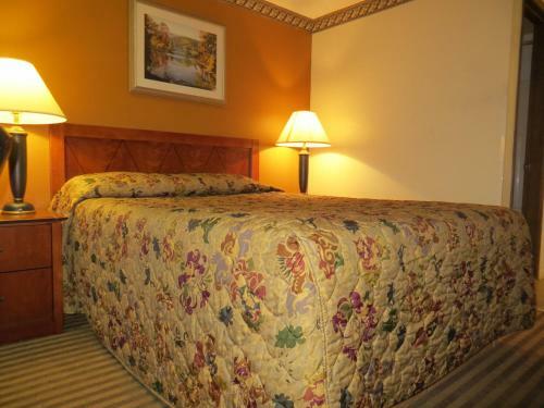 Hotel Econo Lodge Expo Center