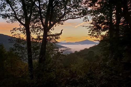Beautiful Hendersonville Cabin With Mtn Views!