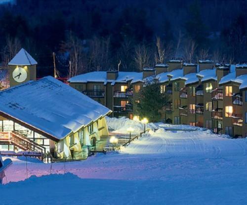 Aparthotel Mountain Lodge At Okemo