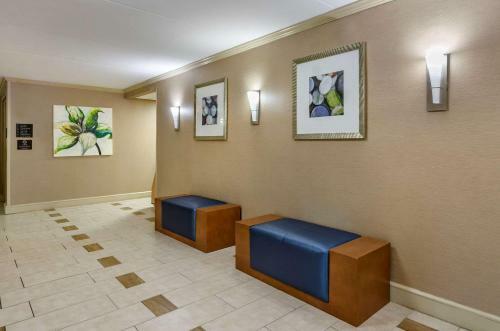 Holiday Inn Express Hotel Roanoke-civic Center