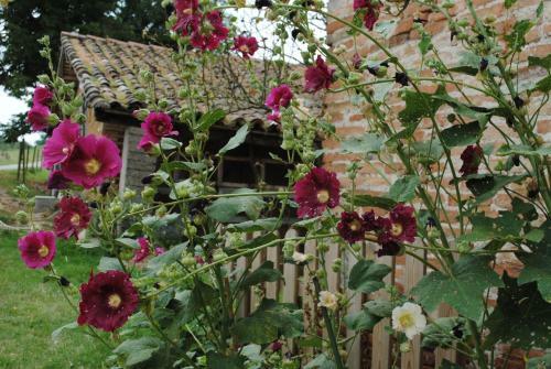 Agroturismo La Roulotte Du Cos