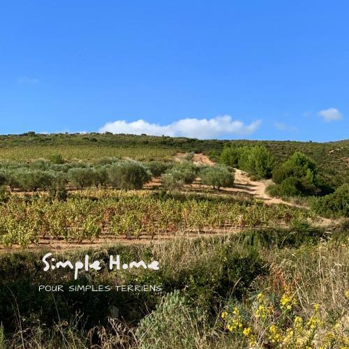 Hostal Simple Home