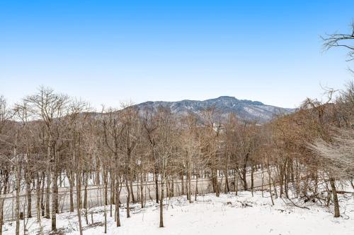 Blue Ridge Vista