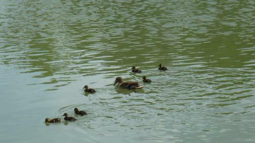 Bed & Breakfast Calme Au Bord de L'eau