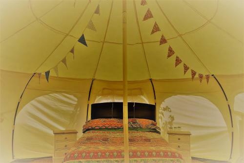 Agroturismo Loire Valley Llama Farm Stay