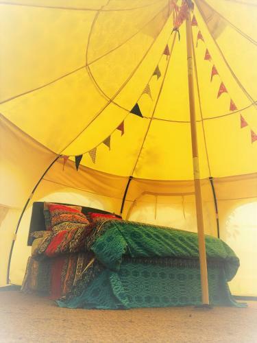 Agroturismo Loire Valley Llama Farm Stay