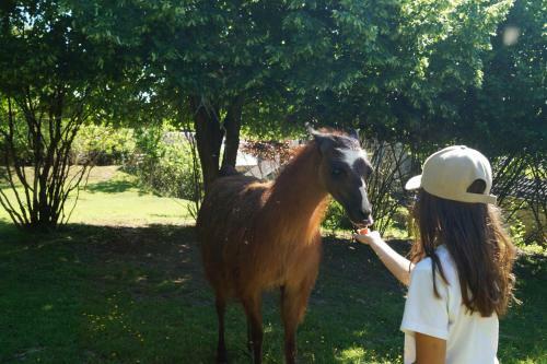 Agroturismo Loire Valley Llama Farm Stay