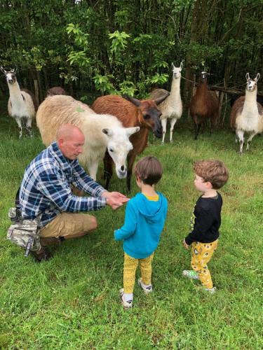 Agroturismo Loire Valley Llama Farm Stay