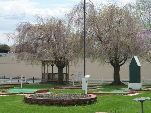 Motel Red Carpet Inn And Suites Palmyra