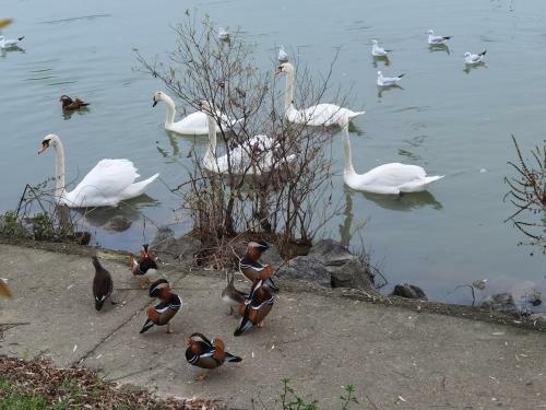 Bed & Breakfast Les Pingouins de La Marne