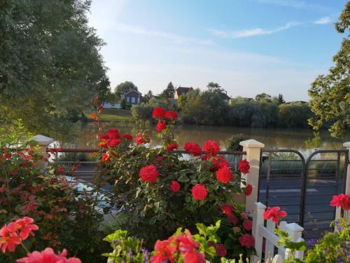 Bed & Breakfast Les Pingouins de La Marne