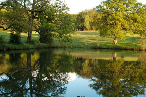 Domaine Des Roches Blanches - Site Class�