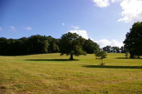 Domaine Des Roches Blanches - Site Class�