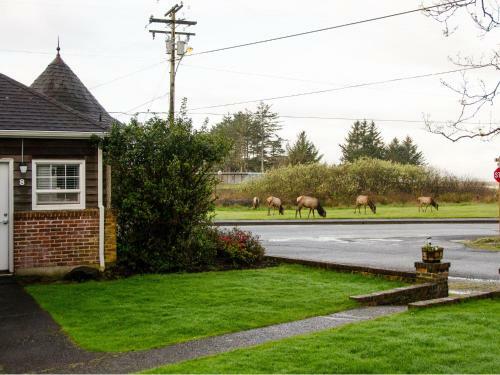 Motel Ecola Creek Lodge