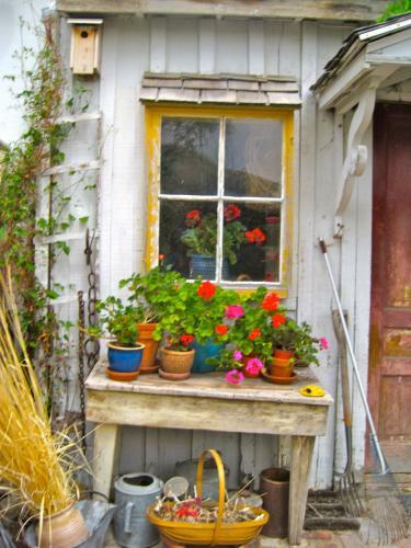 Bed & Breakfast Old Pioneer Garden