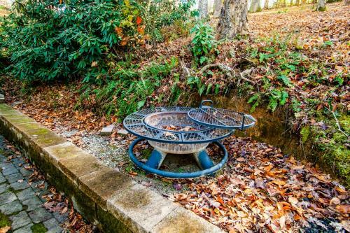 Evergreen Getaway Fire Pit And Wood Fireplace