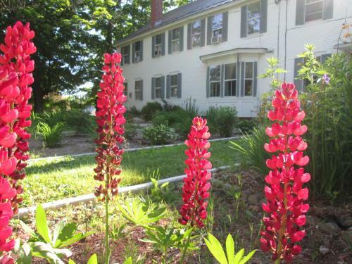 The Bridges Inn At Whitcomb House B&B