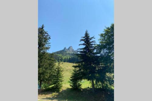 Laprau, House Between Lake & Mountain