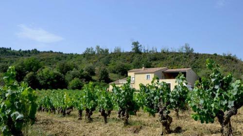 G�te Vigneron Du Domaine D'alon