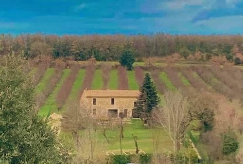 Bed & Breakfast La Bergerie Des Amandiers